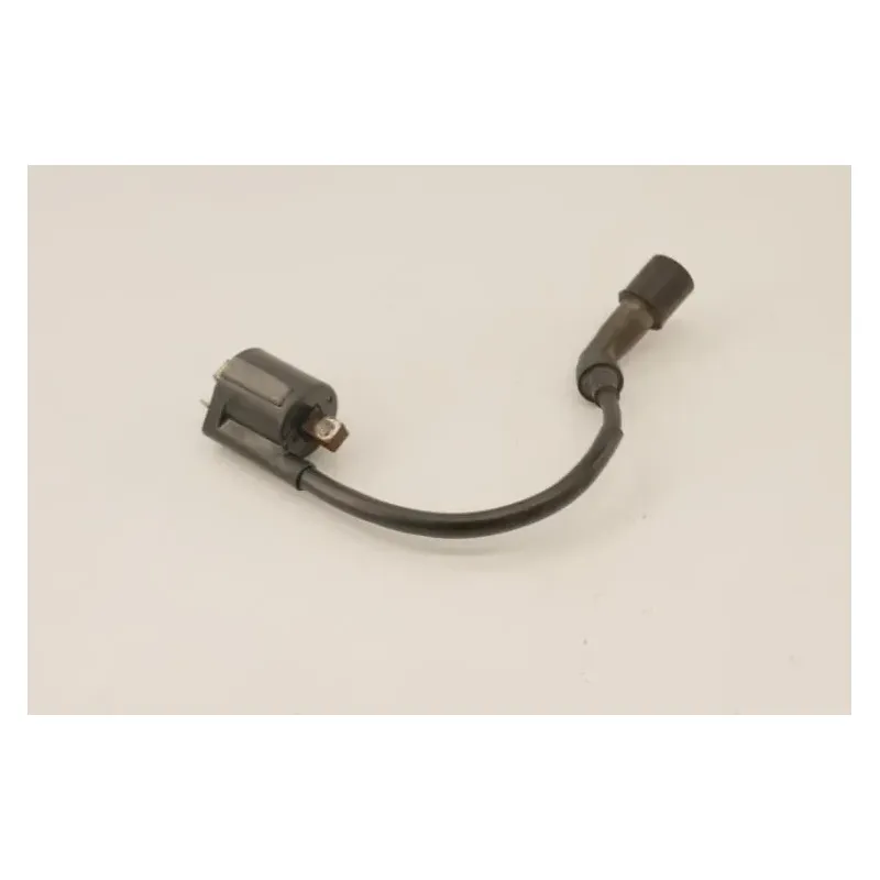 Bobine allumage YAMAHA YP 125 MAJESTY 2003 - 2006