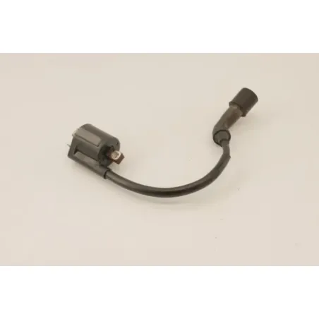 Bobine allumage YAMAHA YP 125 MAJESTY 2003 - 2006