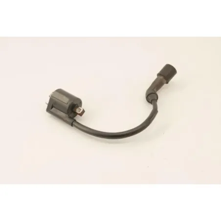 Bobine allumage YAMAHA YP 125 MAJESTY 2003 - 2006