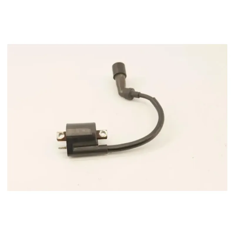 Bobine allumage YAMAHA YP 125 MAJESTY 2003 - 2006