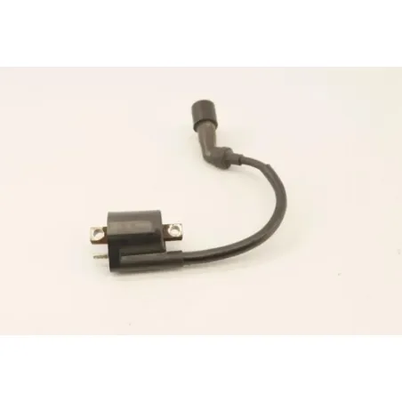 Bobine allumage YAMAHA YP 125 MAJESTY 2003 - 2006