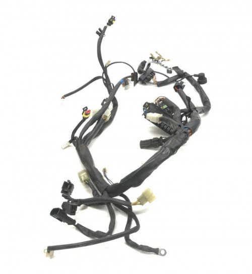 Faisceau electrique CAGIVA RAPTOR 650 2001-2006