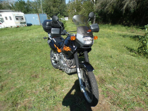 HONDA 650 DOMINATOR