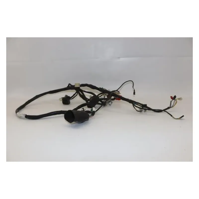 Faisceau electrique HONDA SCV 100 LEAD 2003 - 2007