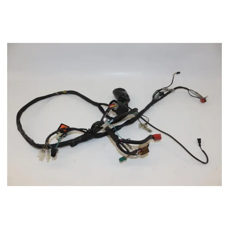Faisceau electrique HONDA SCV 100 LEAD 2003 - 2007