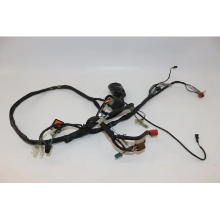 Faisceau electrique HONDA SCV 100 LEAD 2003 - 2007