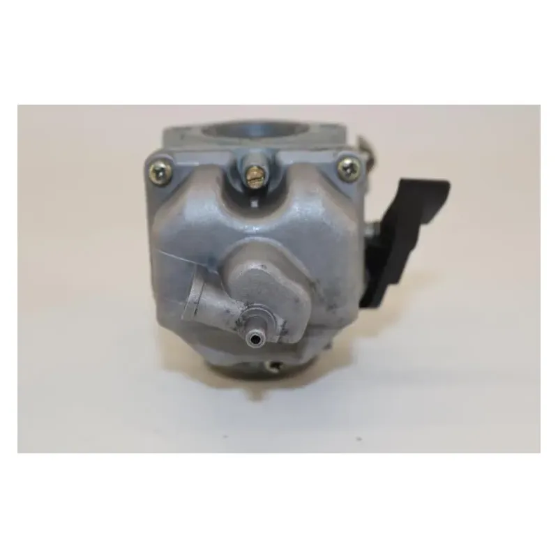 Carburateur EAGLE MOTO SHINERAY 200 2006 - 2008