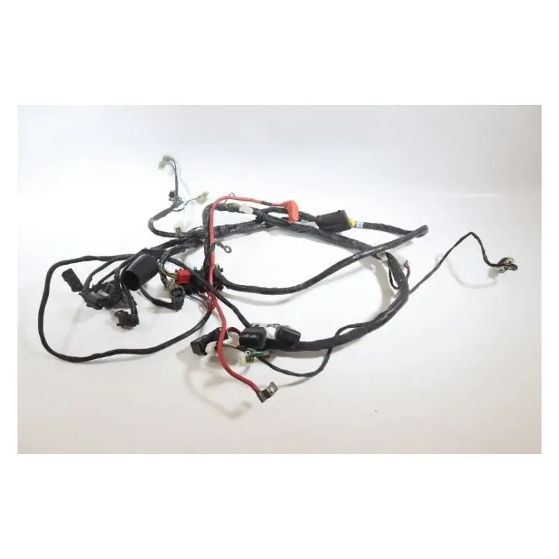 Faisceau electrique SYM HD 200 EVO 2008 - 2008