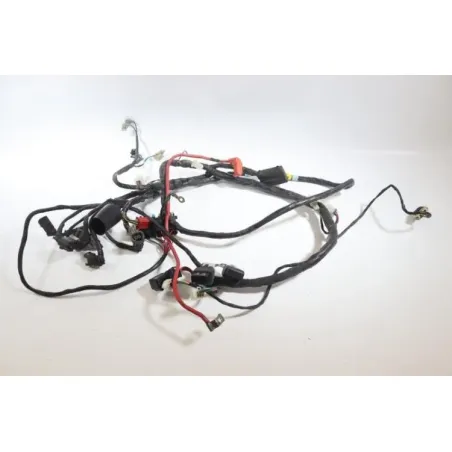 Faisceau electrique SYM HD 200 EVO 2008 - 2008