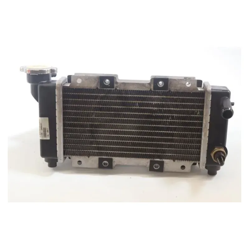 Radiateur eau SYM HD 200 EVO 2008 - 2008