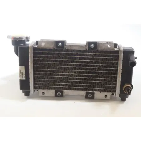 Radiateur eau SYM HD 200 EVO 2008 - 2008