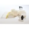 Vase expansion HONDA CB 600 F HORNET 2003 - 2004