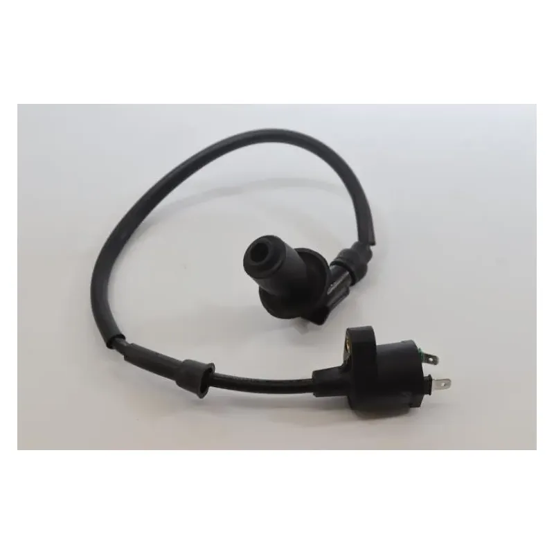 Bobine allumage JM MOTORS MIA RS 50 2020 -2021