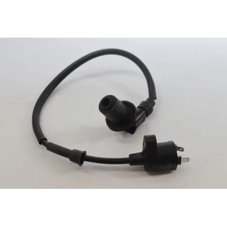 Bobine allumage JM MOTORS MIA RS 50 2020 -2021