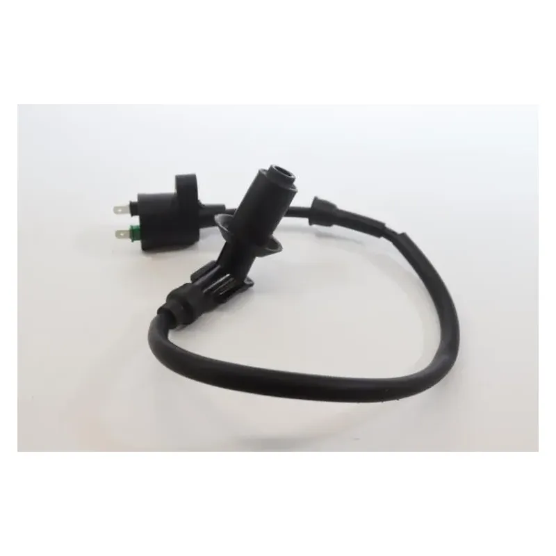 Bobine allumage JM MOTORS MIA RS 50 2020 -2021
