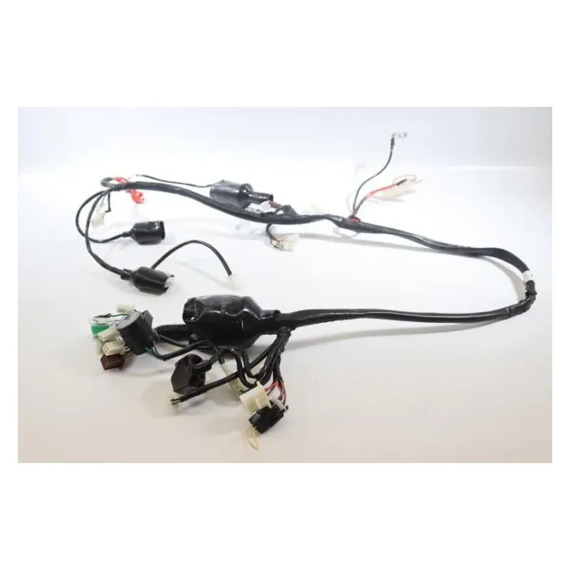 Faisceau electrique JM MOTORS MIA RS 50 2020 -2021
