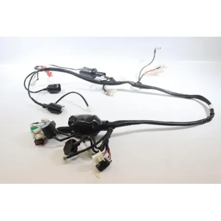 Faisceau electrique JM MOTORS MIA RS 50 2020 -2021