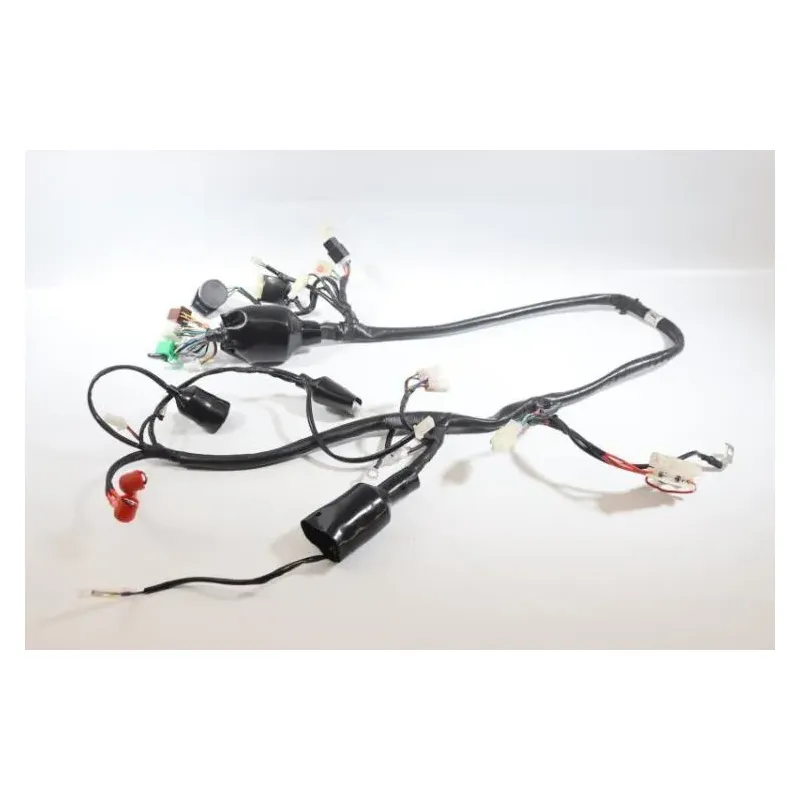 Faisceau electrique JM MOTORS MIA RS 50 2020 -2021