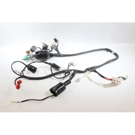 Faisceau electrique JM MOTORS MIA RS 50 2020 -2021