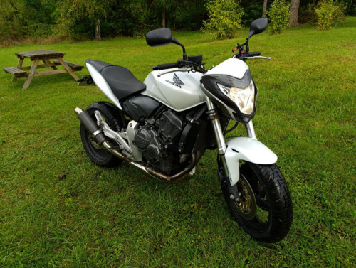 HONDA 600 HORNET