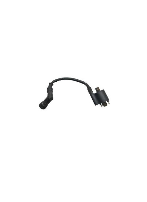 Bobine allumage HONDA CBF 125 2009-2012