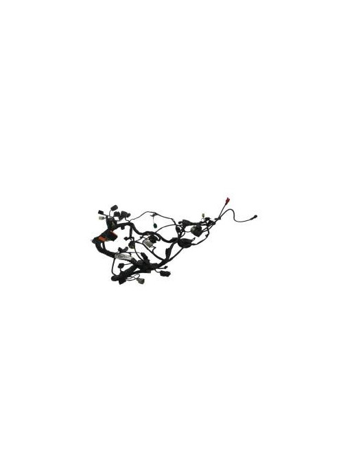 Faisceau electrique KAWASAKI ER-6 650 2012-2016 N