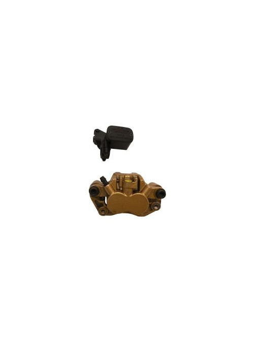 Maitre cylindre frein arriere DAELIM XQ1 125 2018-2021