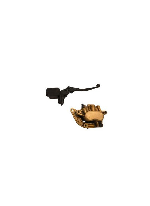 Maitre cylindre frein avant DAELIM XQ1 125 2018-2021