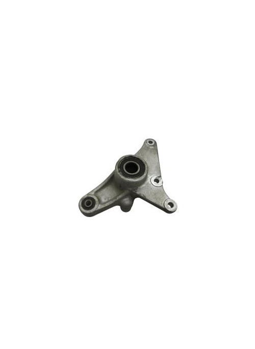 Support etrier frein arriere APRILIA LEONARDO 125 2001-2004 ST