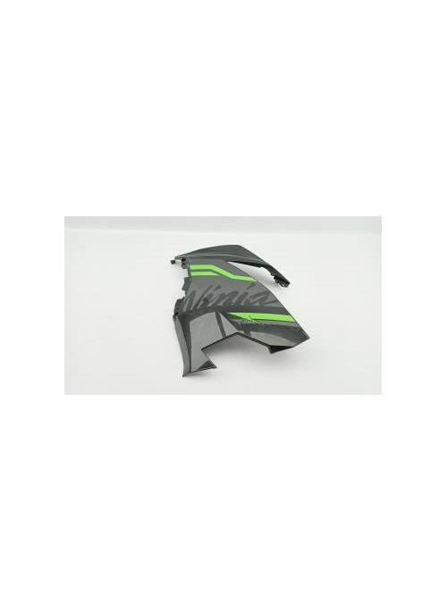 Flanc avant gauche KAWASAKI 400 NINJA 2018 - 2023