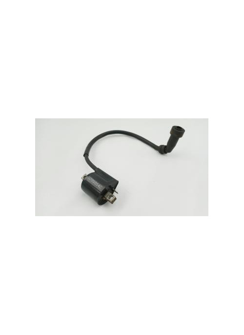 Bobine allumage YAMAHA 125 YBR 2005 - 2006