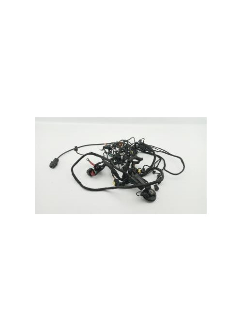 Faisceau electrique BMW C EVOLUTION 2013 - 2020
