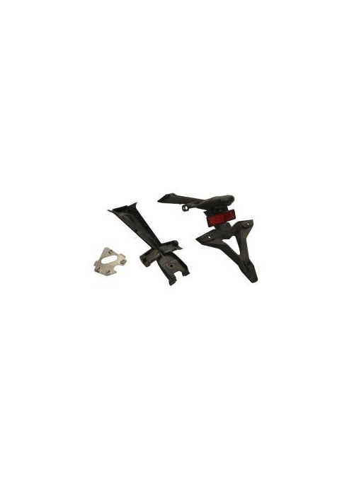 Support de plaque et eclairage TRIUMPH STREET TRIPLE 765 2017-2019