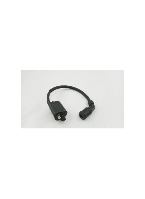 Bobine allumage SUZUKI 125 BURGMAN UH 2002 - 2006