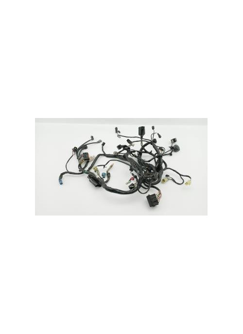 Faisceau electrique KAWASAKI 650 VERSYS 2010 - 2014