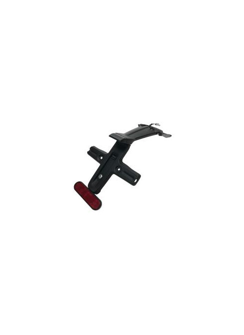 Support de plaque et eclairage TRIUMPH SPEED TWIN 1200 2021-2024