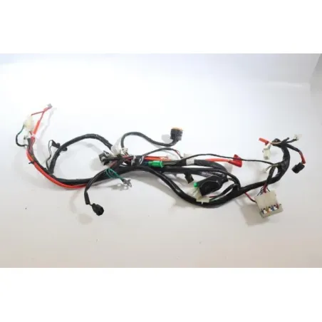 Faisceau electrique SYM XPRO 50 2013 - 2018