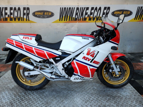 YAMAHA RZV 500 R