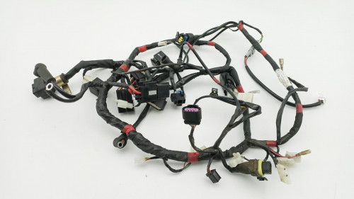 Faisceau electrique RIEJU 125 CENTURY 2018 - 2018