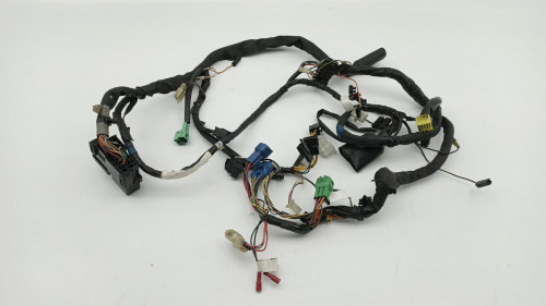 Faisceau electrique SUZUKI 650 SV N 1999 - 2002
