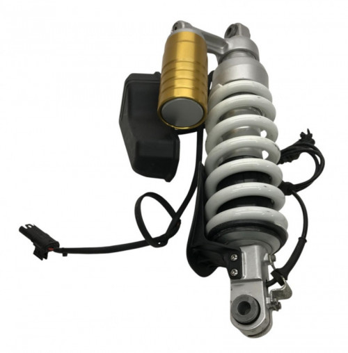 Amortisseur BMW R 1250 GS 2018-2023