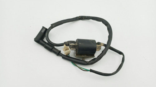Bobine allumage PIAGGIO PROBIKE 125 S 2021 - 2022
