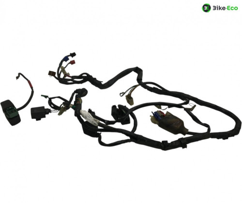 Faisceau electrique HONDA CB F 600 1998-2001 HORNET