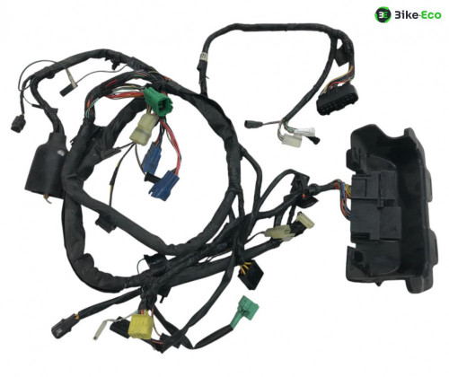 Faisceau electrique SUZUKI SV 650 N 1999-2002