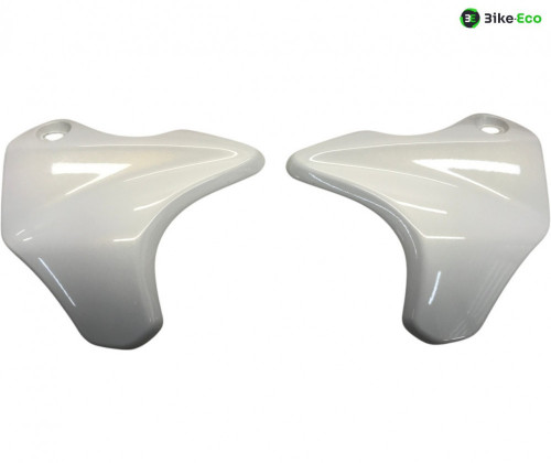 Cache carenage face avant SUZUKI SFV 650 2009-2016 GLADIUS