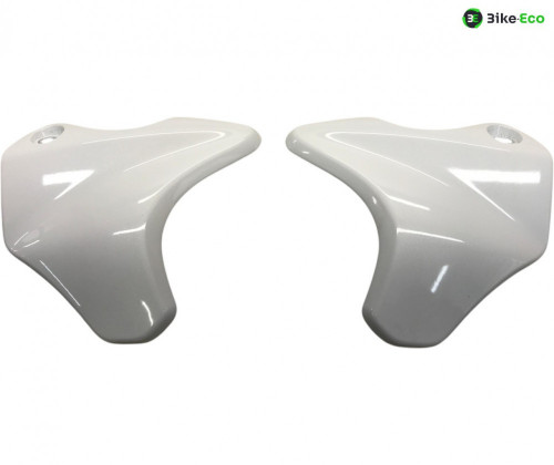 Cache carenage face avant SUZUKI SFV 650 2009-2016 GLADIUS