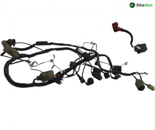 Faisceau electrique HONDA XL 1000 V 1999-2002 VARADERO