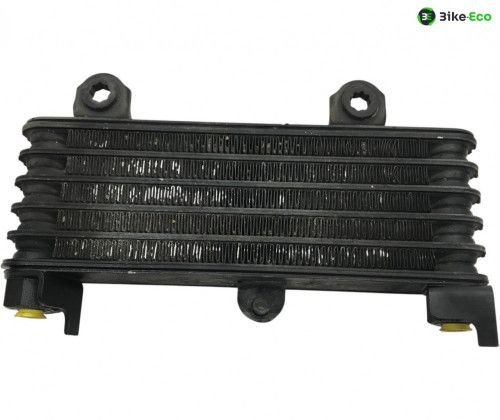 Radiateur huile KAWASAKI KLV 1000 2004-2005