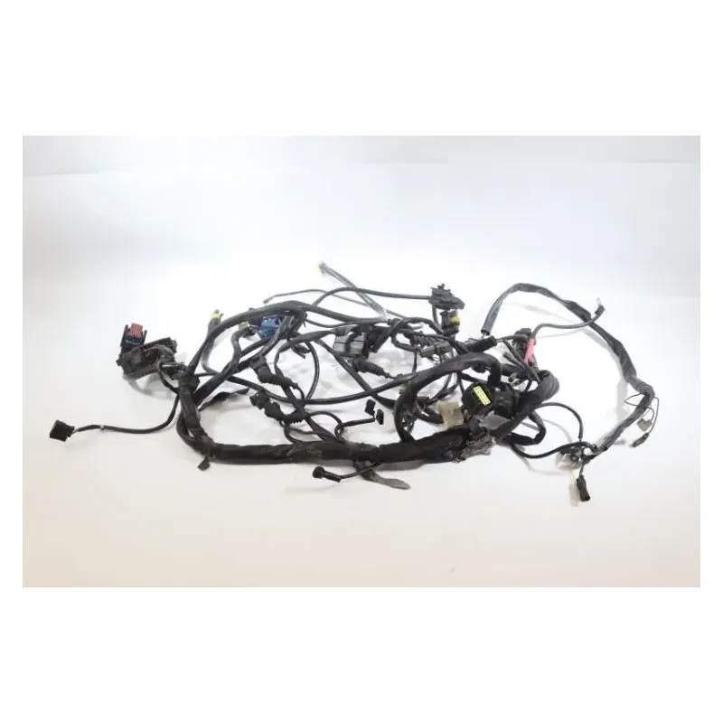 Faisceau electrique DUCATI MONSTER 695 2006 - 2007