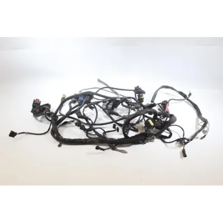Faisceau electrique DUCATI MONSTER 695 2006 - 2007
